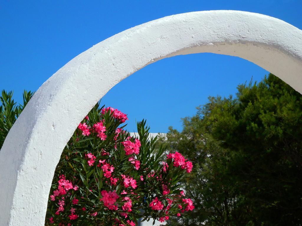 Pavlosx2 Folegandros Town Exterior photo